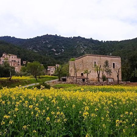 El Castell De Seguero Daire Beuda Dış mekan fotoğraf