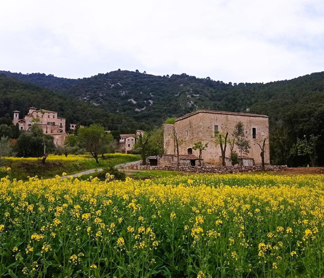 El Castell De Seguero Daire Beuda Dış mekan fotoğraf