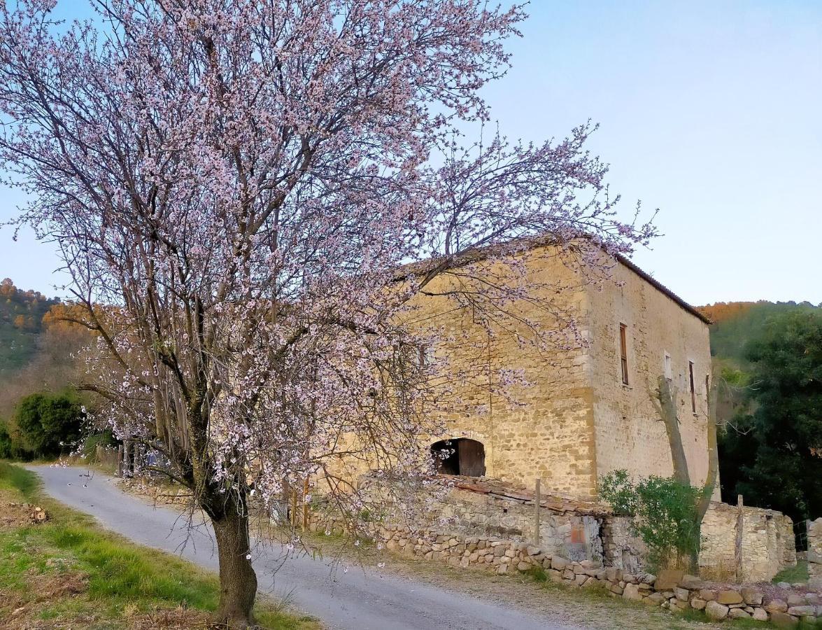 El Castell De Seguero Daire Beuda Dış mekan fotoğraf